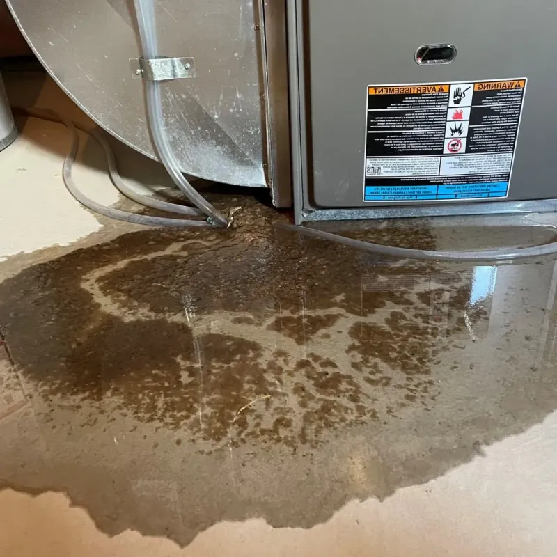 Pipe Burst and Leak Restoration in Knoxville, TN