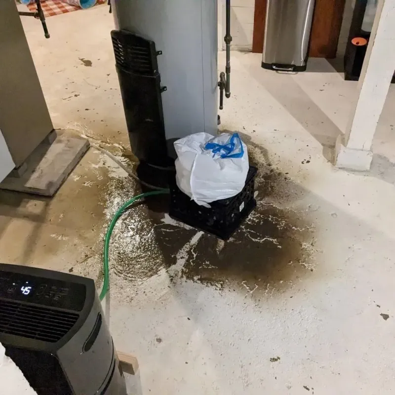 Sewage Backup Cleanup Service in Knoxville, TN
